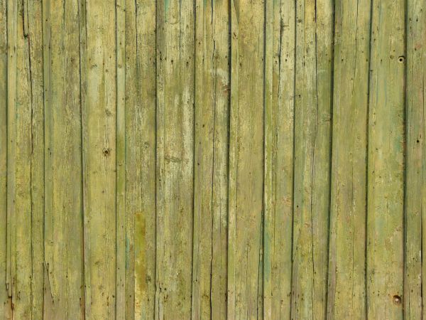 Aged splintering planks with fading light green paint.